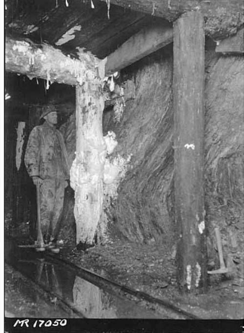 A miner stands in a dimly lit underground tunnel, surrounded by wooden supports and mineral formations.