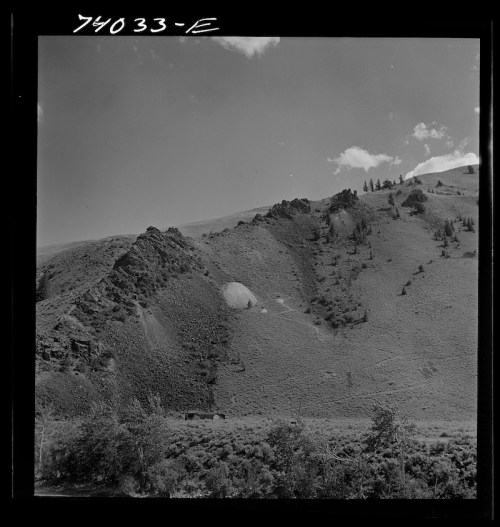 Black and white image of a rocky hillside with sparse vegetation and a clear sky.