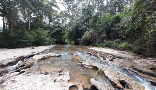 A serene river flows over rocky terrain, surrounded by lush greenery and trees under a cloudy sky.