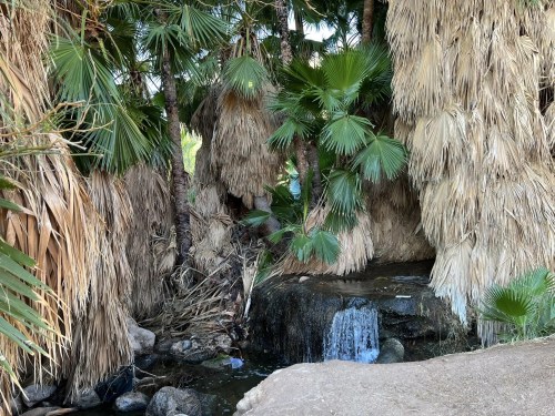 A serene waterfall flows over rocks, surrounded by lush palm fronds and dry foliage in a tranquil natural setting.