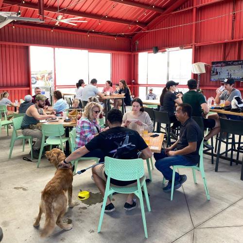 A lively indoor space with people dining and socializing, including a dog sitting by its owner.