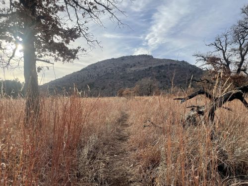 A grassy path leads through tall golden grass towards a distant rocky hill under a cloudy sky.