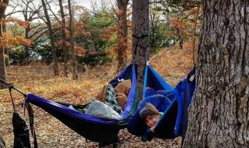 A child peeks out from a hammock between two trees in a forest with autumn leaves. Cozy blankets are nearby.