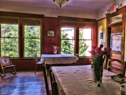 Bright, cozy room with wooden floors, two tables, and a vase of tulips, featuring large windows overlooking greenery.