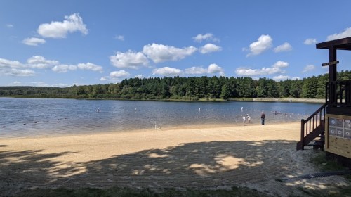 A sandy beach by a calm lake, with people swimming and trees in the background under a blue sky with fluffy clouds.