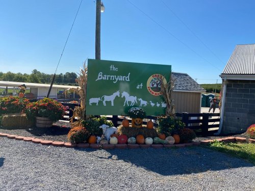 Sign for "the Barnyard at Derby" surrounded by colorful flowers, pumpkins, and a clear blue sky.