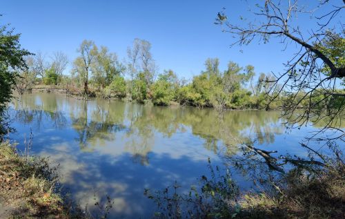 A calm river reflects trees and blue sky, surrounded by lush greenery on a sunny day.