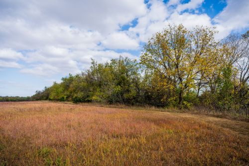 A grassy field with autumn foliage and trees under a partly cloudy sky.