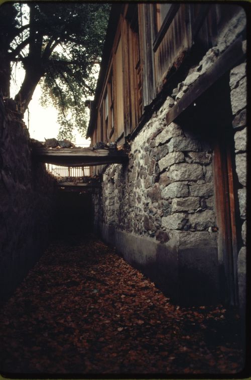 Narrow stone pathway lined with wooden buildings, covered in fallen leaves, under a tree. Soft light filters through.