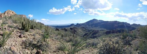 A panoramic view of a desert landscape with mountains, cacti, and a blue sky dotted with clouds.