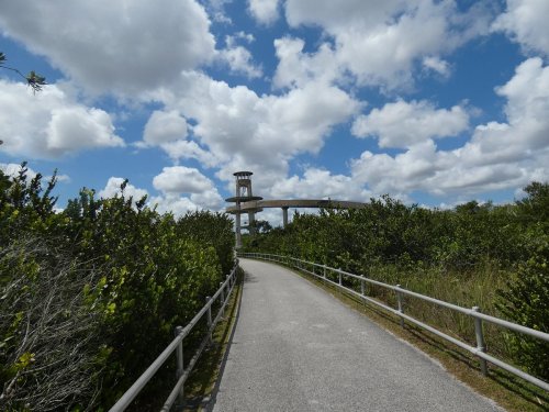 A pathway leads through lush greenery towards a tall observation tower under a bright, cloudy sky.
