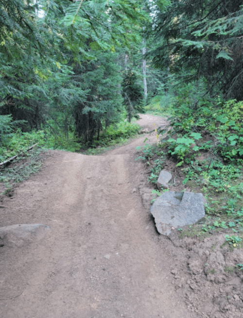 A dirt path winding through a lush green forest, surrounded by trees and rocks.