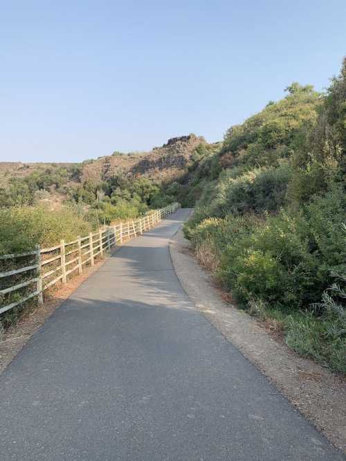 A winding path through lush greenery, bordered by a wooden fence, leading into a serene landscape.