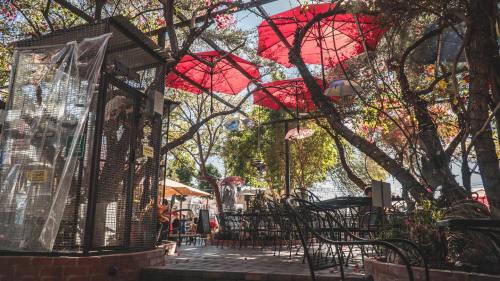 A cozy outdoor café with red umbrellas, surrounded by trees and greenery, featuring tables and chairs on a sunny day.