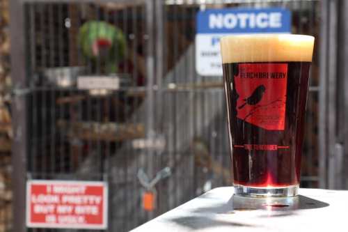 A pint of dark beer sits on a table, with bird cages and a "Notice" sign in the background.