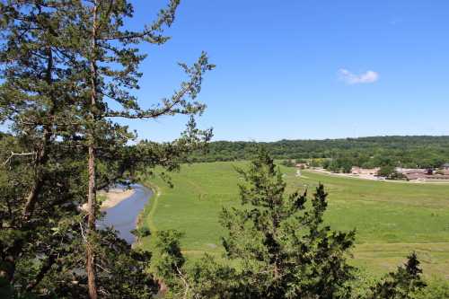 A scenic view of a green landscape with a winding river, trees, and a clear blue sky in the background.