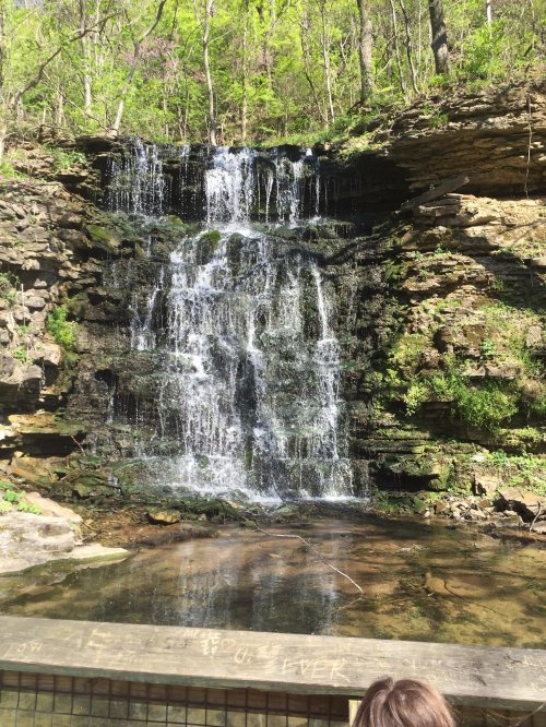 A serene waterfall cascading over rocks, surrounded by lush greenery and reflecting in a calm pool below.