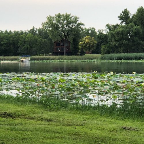 A serene lake scene with lily pads, a small boat, and a house in the background surrounded by lush greenery.