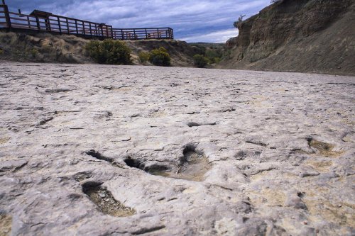 Fossilized dinosaur footprints on a rocky surface, with a wooden walkway in the background under a cloudy sky.