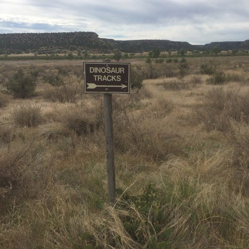 Signpost indicating "Dinosaur Tracks" in a grassy, open landscape with distant hills.