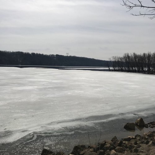 A serene winter landscape featuring a frozen lake and bare trees against a cloudy sky.