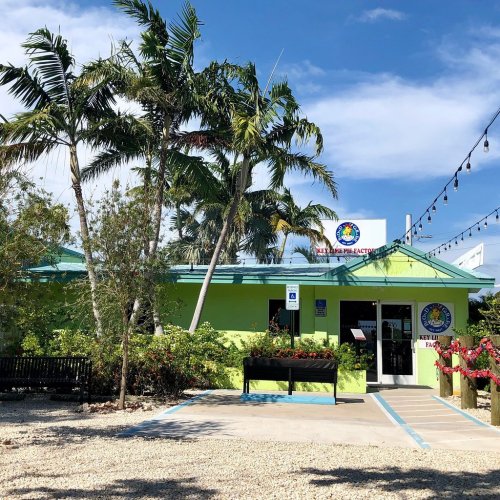 A bright green building surrounded by palm trees and plants, with a pathway leading to the entrance.