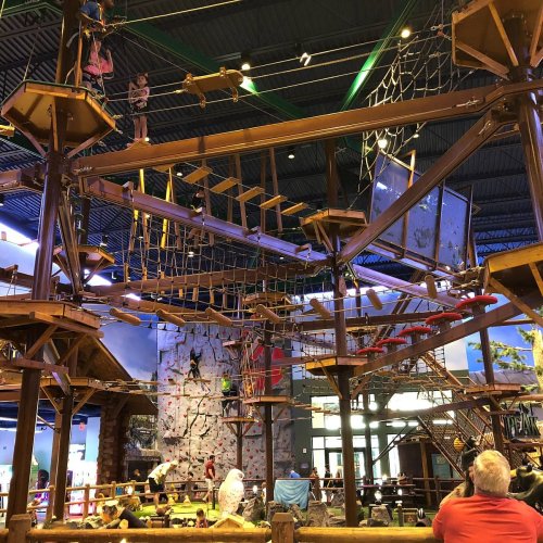 A vibrant indoor adventure park featuring climbing walls and a ropes course with people navigating the obstacles.