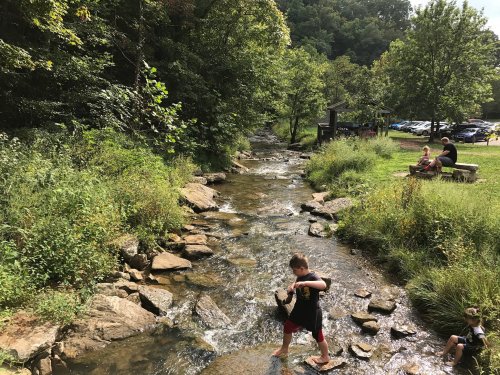 A child plays in a shallow stream surrounded by greenery, with people sitting nearby on a bench.