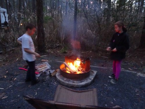 Two children by a campfire in a wooded area, with smoke rising and logs burning in the fire pit.