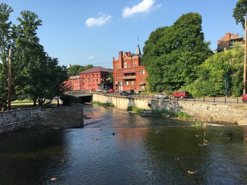 A serene river scene with ducks, flanked by green trees and red brick buildings under a clear blue sky.