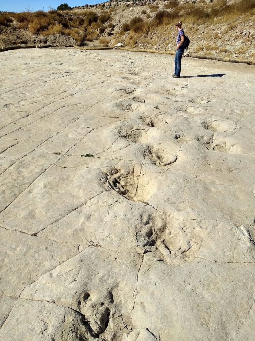 A person stands on a dry, cracked surface with large dinosaur footprints visible in the stone.