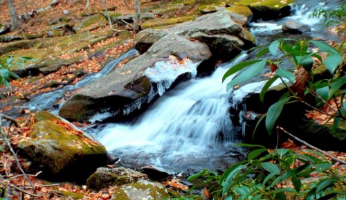 A serene stream flows over rocks, surrounded by autumn leaves and greenery, creating a peaceful natural scene.