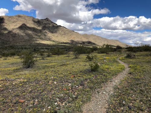 A winding dirt path leads through a vibrant, flower-filled landscape with mountains and clouds in the background.