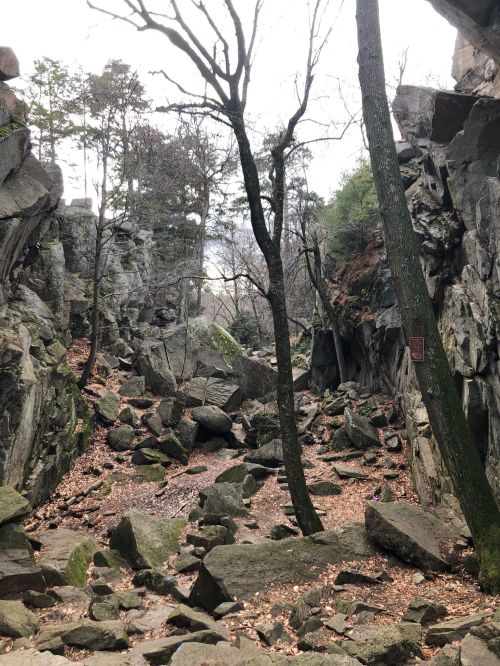 A rocky canyon with scattered boulders and sparse trees, surrounded by steep stone walls and a cloudy sky.