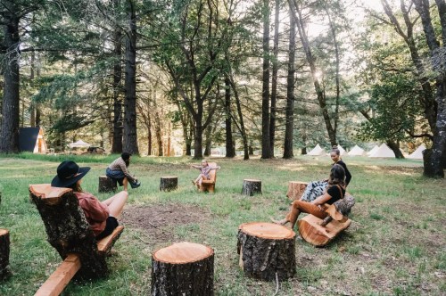 A group of people sitting on log seats in a forest, surrounded by trees and tents in the background.