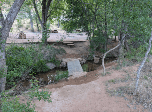 A serene forest scene featuring a small wooden bridge over a creek, surrounded by trees and sandy ground.