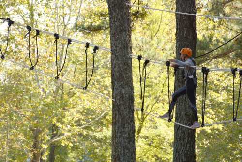 A person in an orange helmet navigates a high ropes course between two trees, surrounded by greenery.