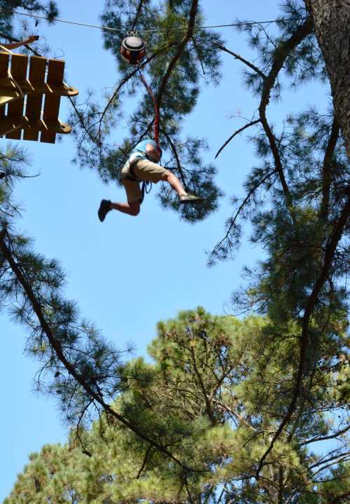 A person zip-lining through tall trees against a clear blue sky.