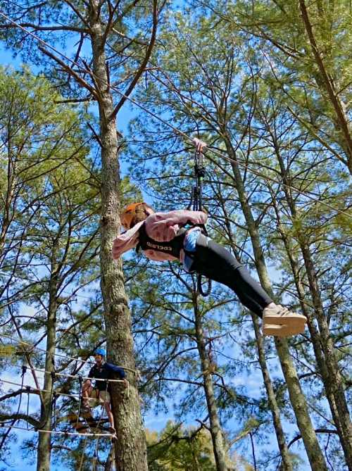 A person zip-lining through trees, with another person visible on a platform in the background.