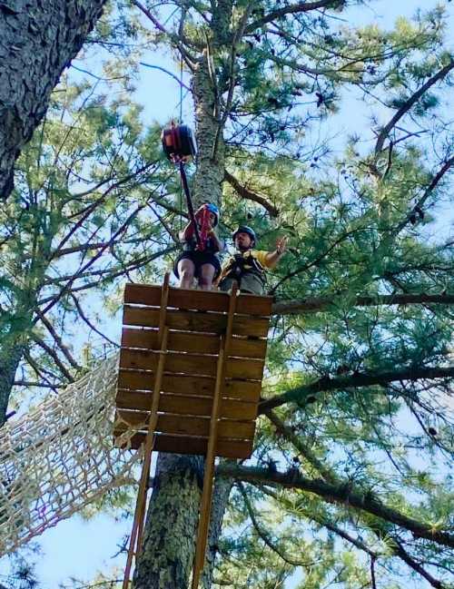 A person sitting on a wooden platform high in a tree, holding a rope, with another person standing beside them.