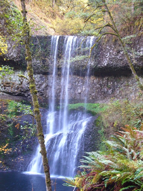 A serene waterfall cascades over rocky cliffs into a tranquil pool, surrounded by lush greenery and ferns.