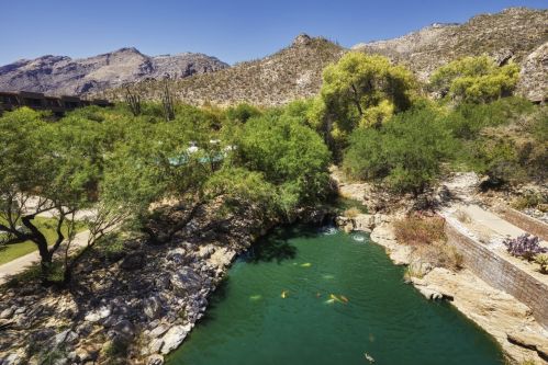 A serene pond surrounded by lush greenery and mountains under a clear blue sky. Koi fish swim in the water.