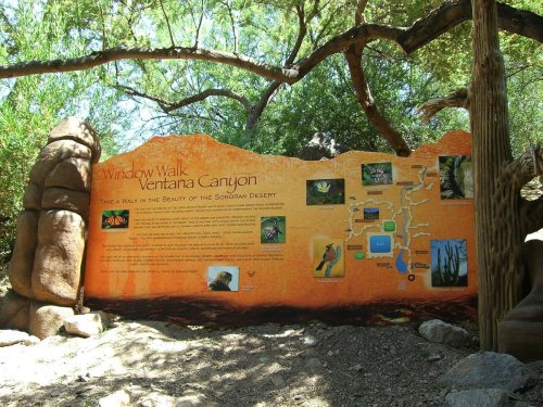 Sign for Window Walk in Ventana Canyon, showcasing the Sonoran Desert's beauty with a map and images of local wildlife.