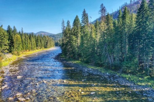 A serene river flows through a lush forest, surrounded by tall trees and mountains under a clear blue sky.