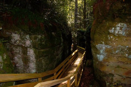 A wooden walkway winds through a narrow, moss-covered canyon surrounded by tall trees and rocky cliffs.