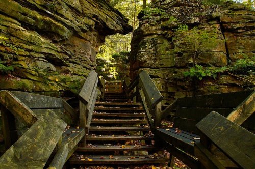 Wooden stairs lead through a rocky passage, surrounded by lush greenery and autumn leaves.