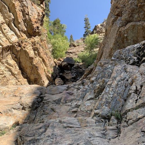 Rocky terrain with steep cliffs and scattered trees under a clear blue sky.