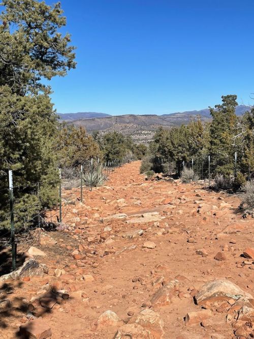 A rocky trail lined with trees, leading towards distant mountains under a clear blue sky.