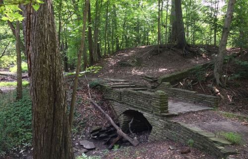 A stone bridge arches over a small creek, surrounded by lush green trees in a serene forest setting.