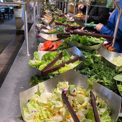 A long salad bar with various fresh greens and vegetables in metal bowls, with tongs for serving.